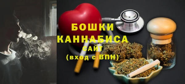 индика Богородицк