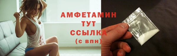 индика Богородицк