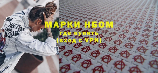 индика Богородицк