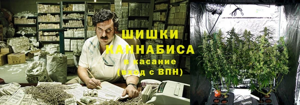 индика Богородицк