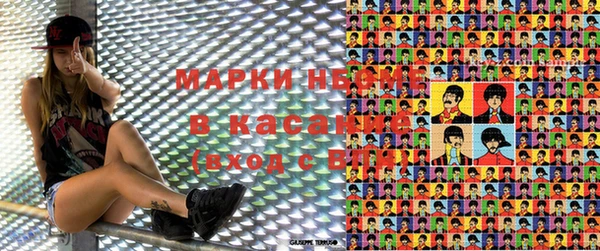 индика Богородицк
