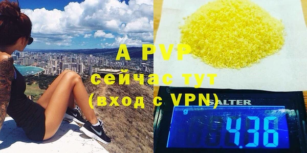 индика Богородицк