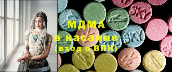 индика Богородицк