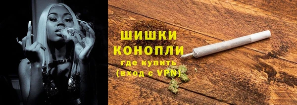 индика Богородицк