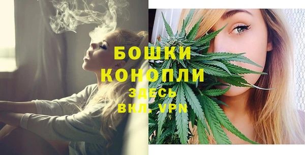 индика Богородицк