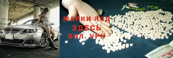 индика Богородицк