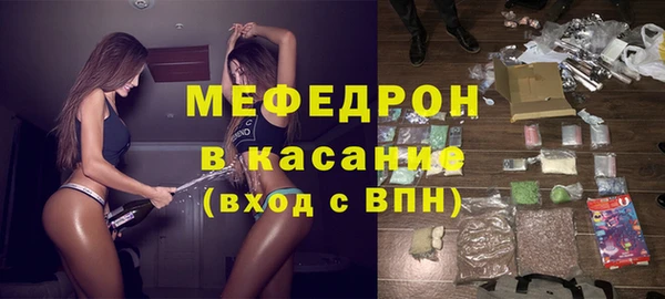 индика Богородицк