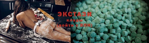 индика Богородицк