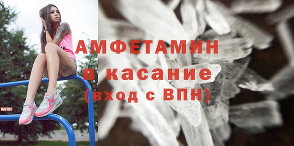индика Богородицк