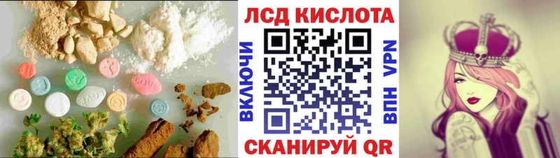 kraken   Дрезна  darknet Telegram  Лсд 25 экстази кислота 